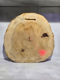 Image 5 of Devil's lettuce tray