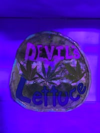 Image 4 of Devil's lettuce tray
