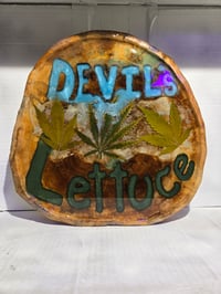 Image 3 of Devil's lettuce tray