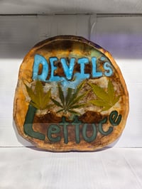 Image 2 of Devil's lettuce tray