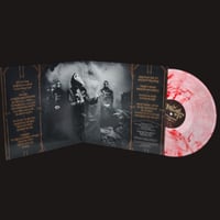 Image 3 of PROFANATICA - Rotting Incarnation Of God (12" Gatefold LP)