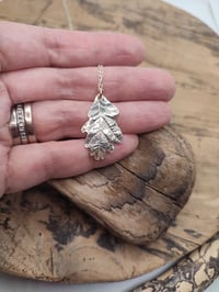 Image 2 of Oak Leaf