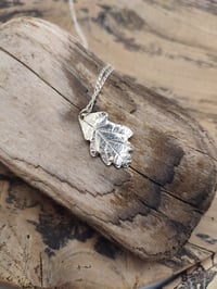 Image 1 of Oak Leaf