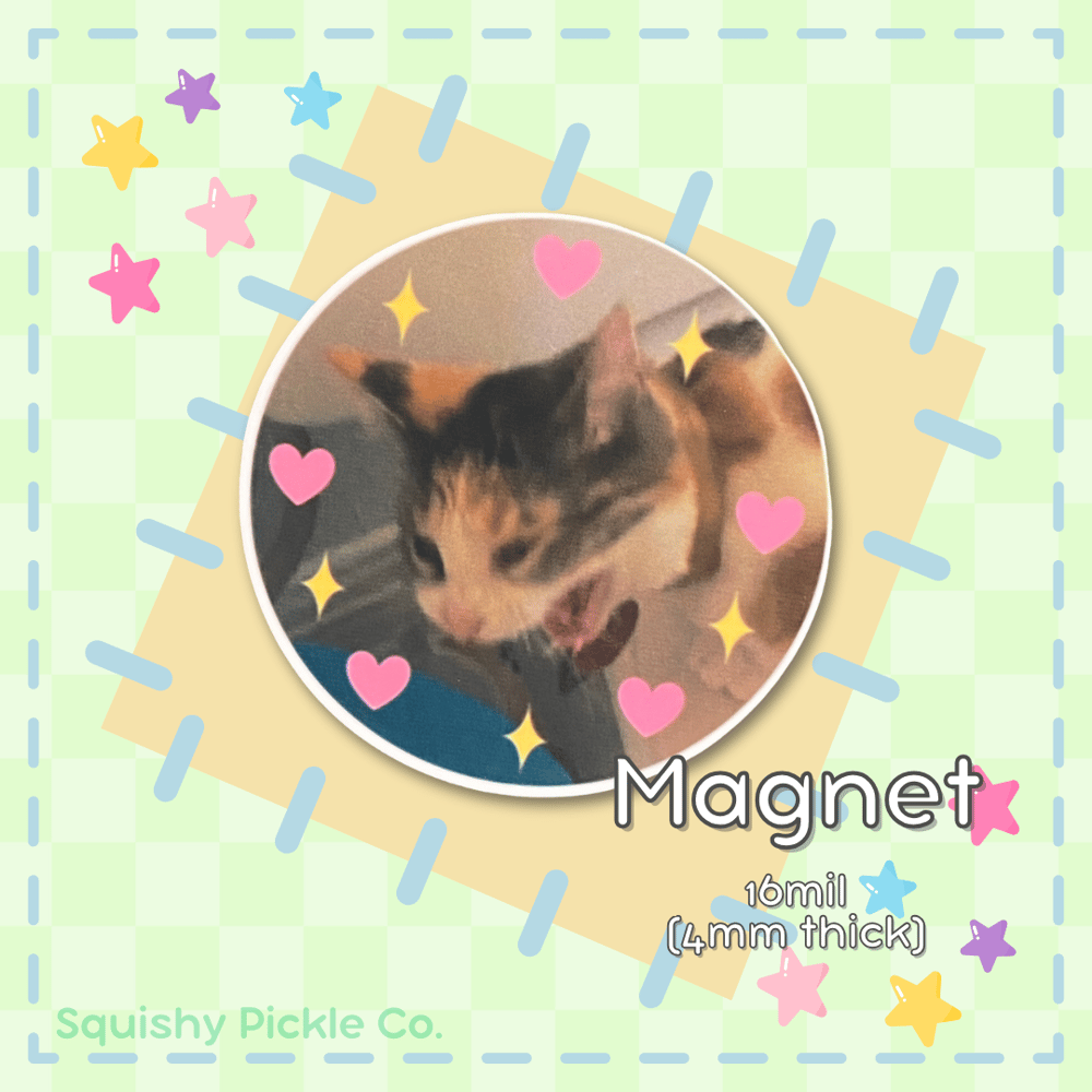 Image of "ACK" Cat Magnet