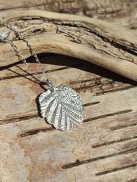 Image 1 of Black Alder Leaf (#1)