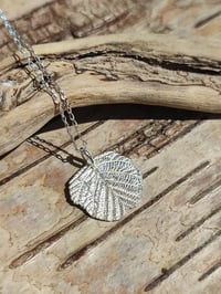 Image 1 of Black Alder Leaf (#2)