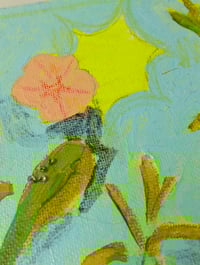 Image 3 of Peach nasturtium 