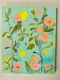 Image 1 of Peach nasturtium 