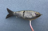 Image 3 of SPEEDBAITS Custom Airbrushed Swimbait 5095