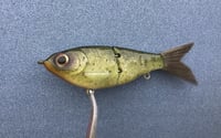 Image 1 of SPEEDBAITS Custom Airbrushed Swimbait 6163