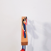 Image 3 of Huitrier Pie 1