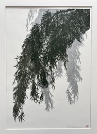 Image 1 of Willow I