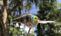 Image 3 of SPEEDBAITS Custom Airbrushed DT10 Crankbait 4485