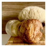 Image 3 of The Little Dragon