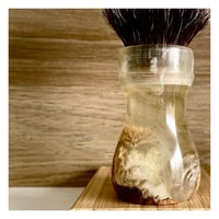 Image 4 of The Little Dragon