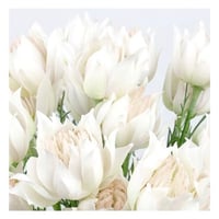 Image 4 of The Blushing Bride