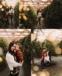 Image 1 of 11/30 CHRISTMAS AT THE GREENHOUSE