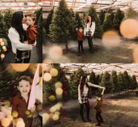 Image 2 of 11/30 CHRISTMAS AT THE GREENHOUSE