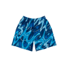 Aqua Groove shorts