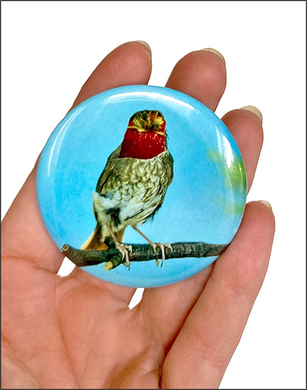 Image of button #31 (#31-#45)
