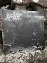 Image 1 of Nyctophilia „Weltschmerz” 12” LP