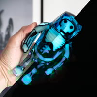 Image 1 of Anatoma Stranger - Frozen Hollow