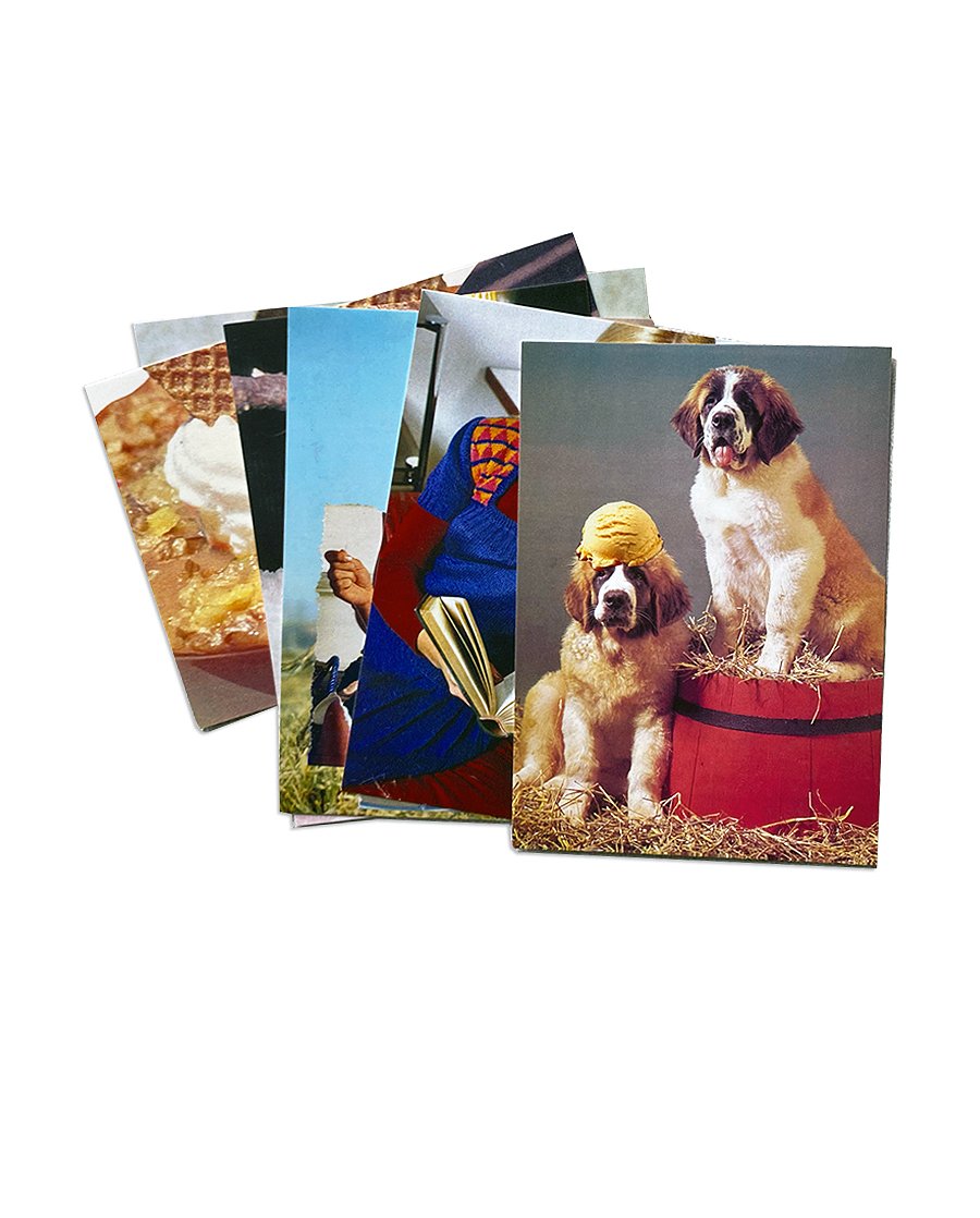 Image of 'Craving Snacks and Dogs' - postcard set (6)