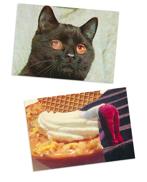 Image of 'Craving Snacks and Dogs' - postcard set (6)