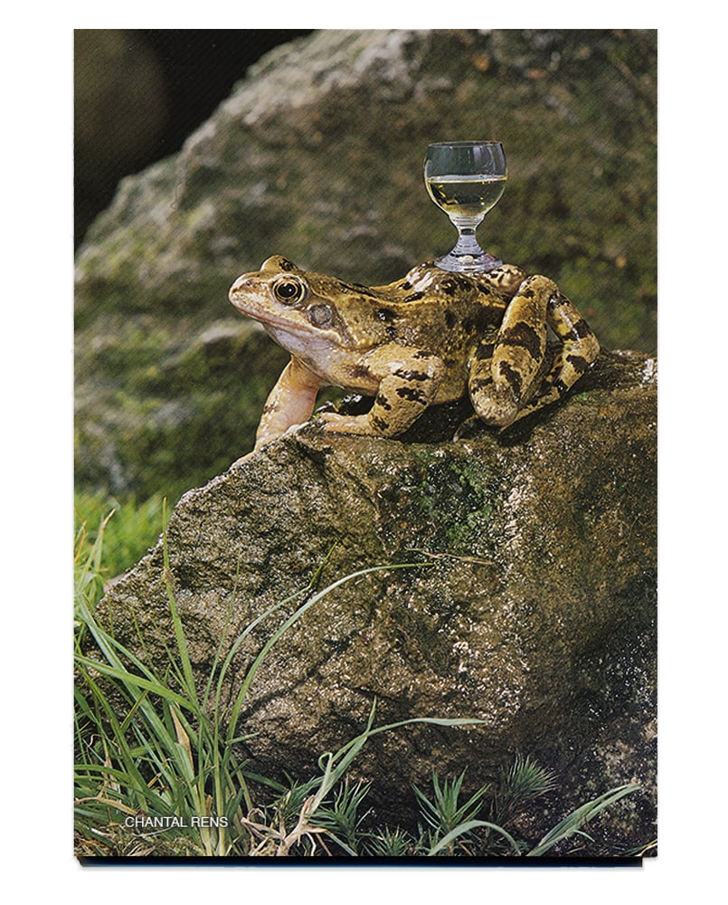 Image of 【Signed】'YOU RUN AROUND TOWN LIKE A FOOL AND YOU THINK THAT IT'S GROOVY 2 - book