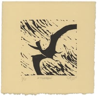 Pteranodon