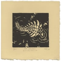 The Shallows (Borealopelta)
