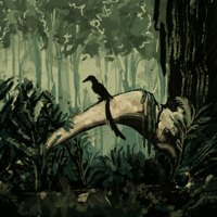 Image 1 of Heptasteornis andrewsi (with Hatzegopteryx skull)