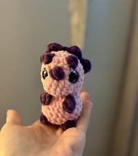 Image 3 of Hatchling Baby Dino’s 