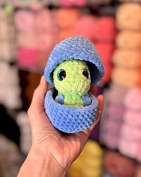 Image 5 of Hatchling Baby Dino’s 