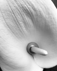 Image 4 of Moontide Ring