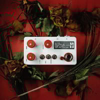 Image 2 of THE LOVER