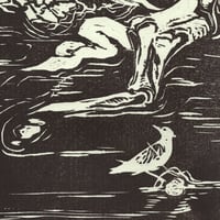 Image 2 of AMNH 5060 (The Flood)