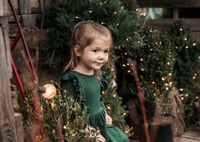 Image 2 of Christmas Garden Mini's Nov. 22nd