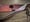 Image of KPOP Demon Hunters MD