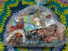 Femme Beachy Nautical Sea Shell Jewelry Mystery Grab Bag #3