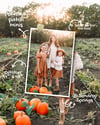 Pumpkin Patch Mini Sessions 