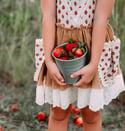 Strawberry Fields Summer Mini Sessions 