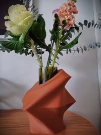 Image 1 of The MARIA