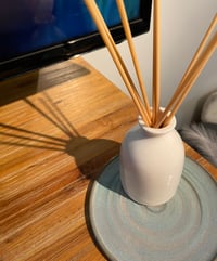 Image 1 of REED STICKS