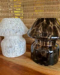 Image 5 of GLASS LAMPS 