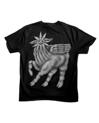 Image 1 of T shirt "Starhorse" XL