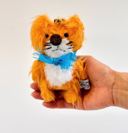 Image of Ginger the cat