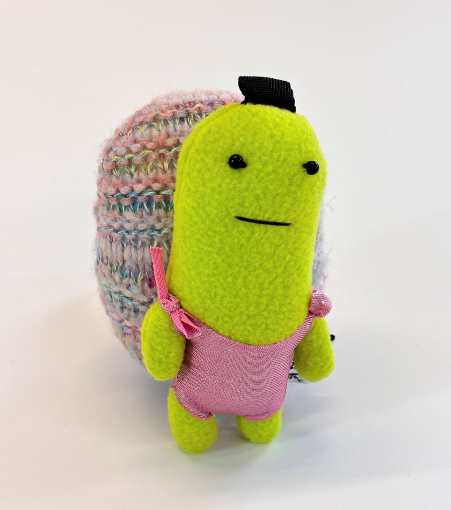 Image of Tiyah turtle