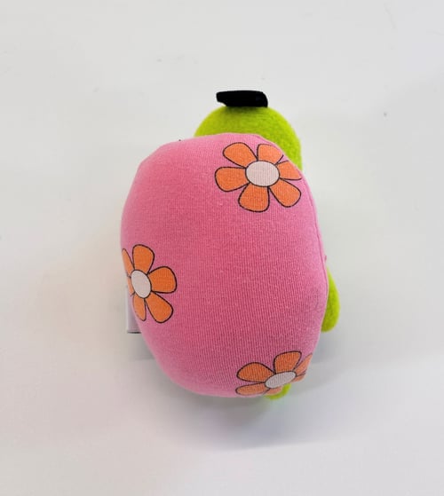 Image of Tulip turtle 