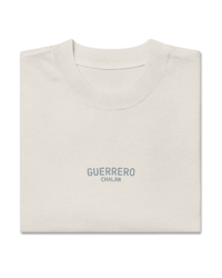 Image 3 of Stealth Fade Embroidered Oversized Tee - Bone